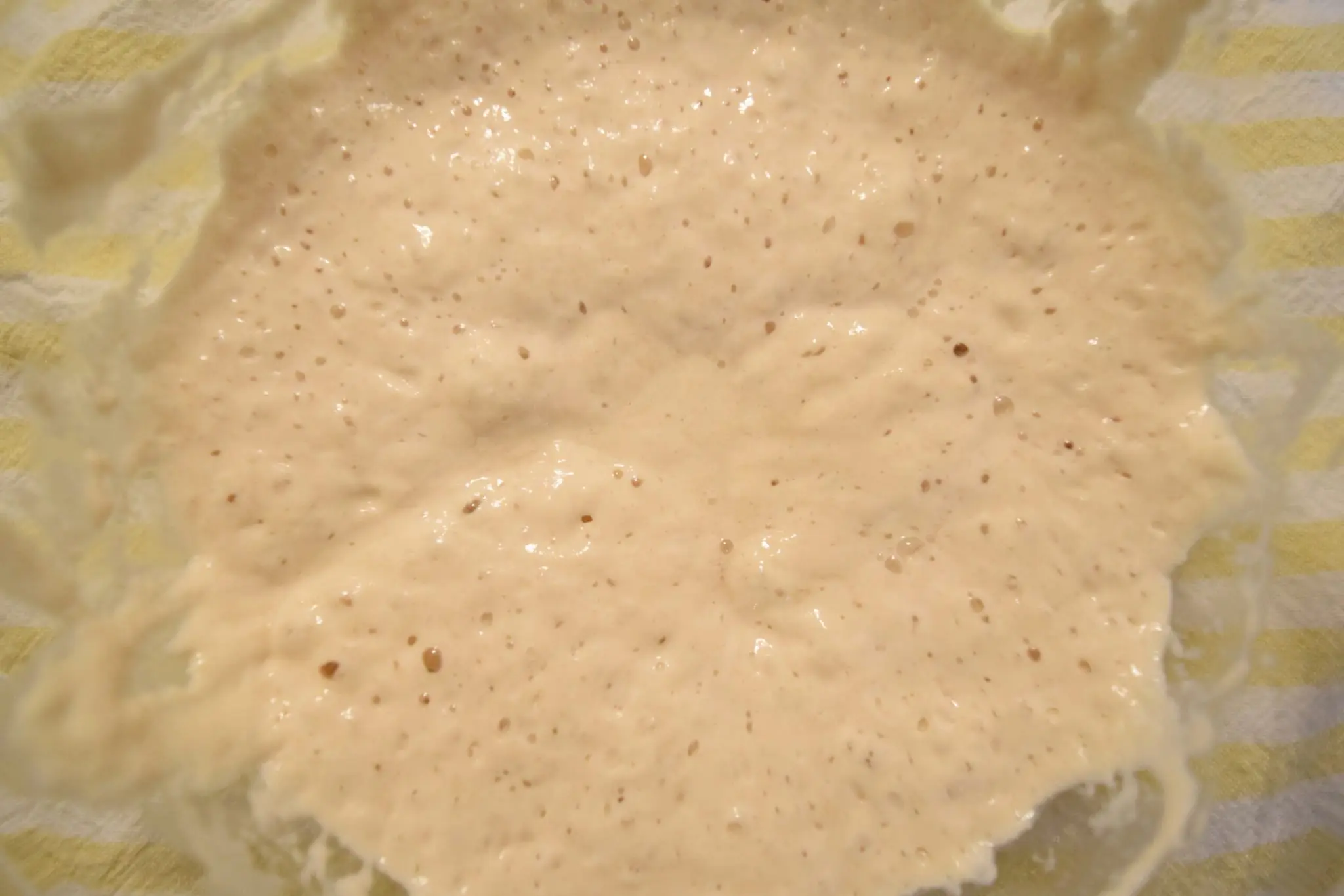 Excess Sourdough Starter Recipes