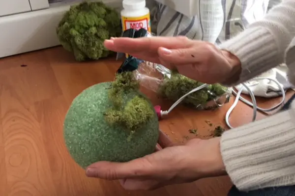 Make Your Own Moss Topiary