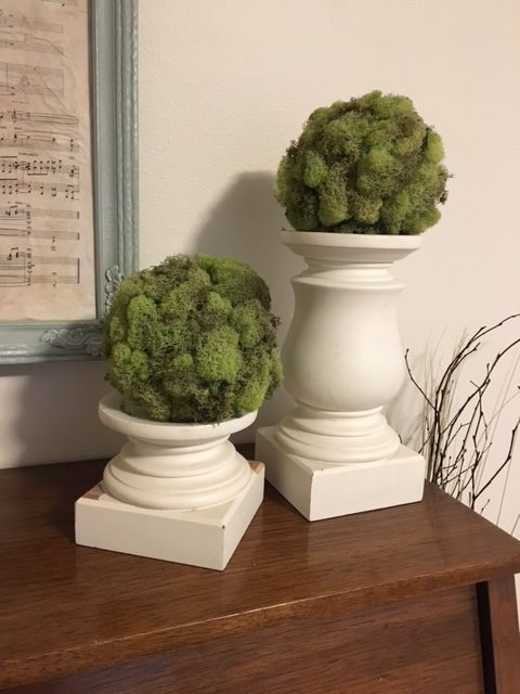 Make a Moss Covered Topiary