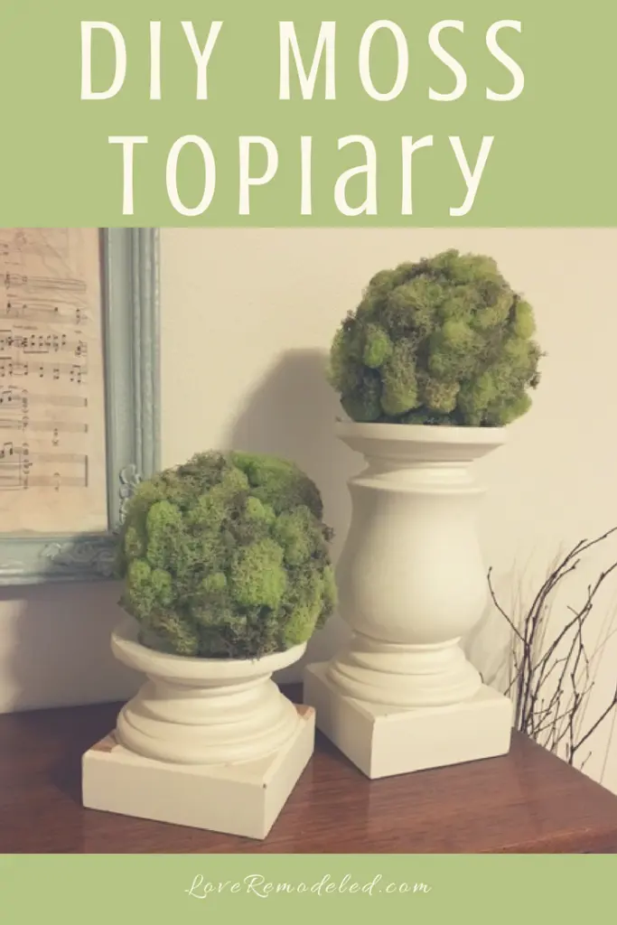 Make A Moss Covered Topiary