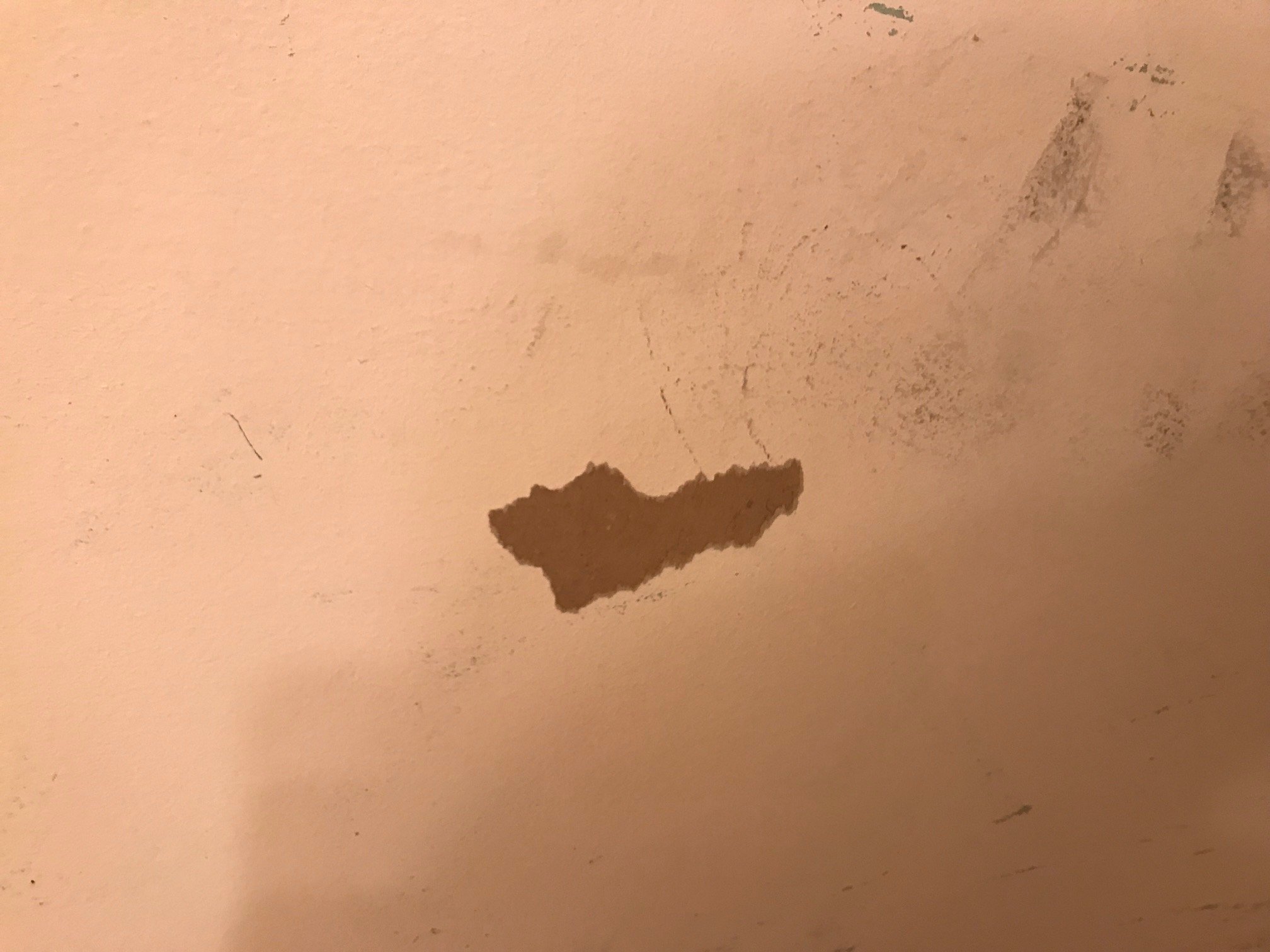 How To Remove Wallpaper Backing Gonzalez Otrappech54