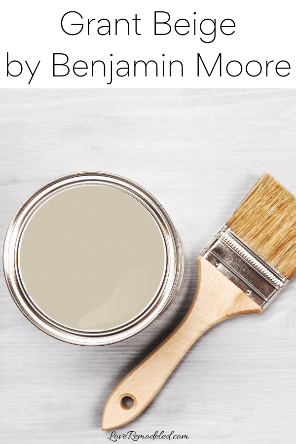 Couleur de peinture beige grognon