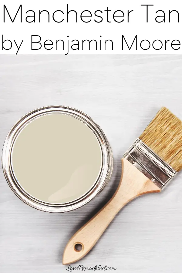 Manchester Tan Paint Color