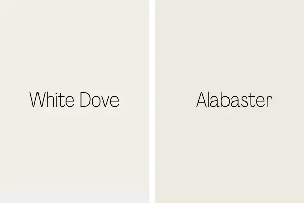 White Dove vs Alabaster