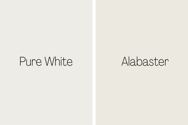 Pure White vs. Alabaster