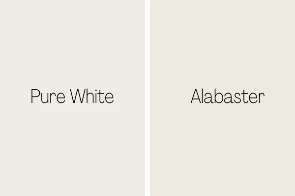 Pure White vs. Alabaster