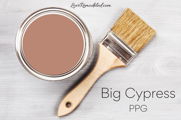 PPG Big Cypress 2021 Color Palette