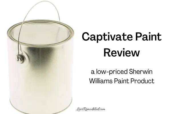 Review of Captivate Paint