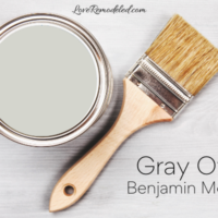 Color Review of Gray Owl Paint Color - Benjamin Moore