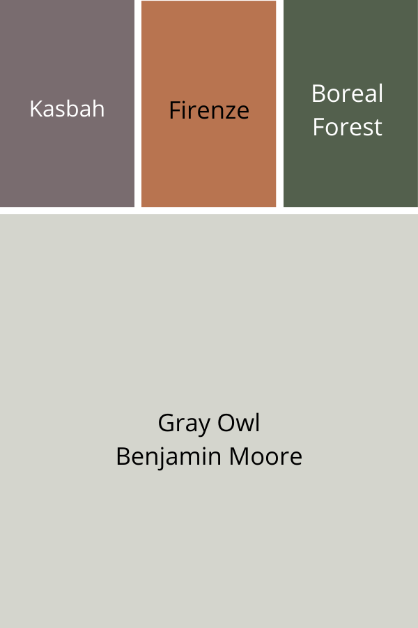 Gray Owl Color Scheme