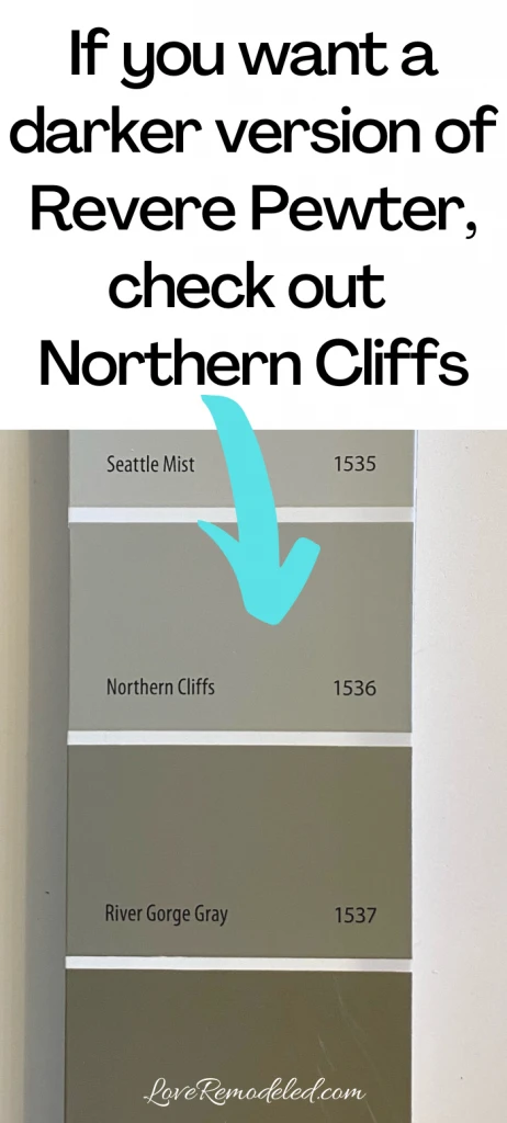 If you want a darker version of Revere Pewter, check out Northern Cliffs.