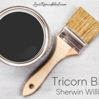 Tricorn Black Paint Color Sherwin Williams