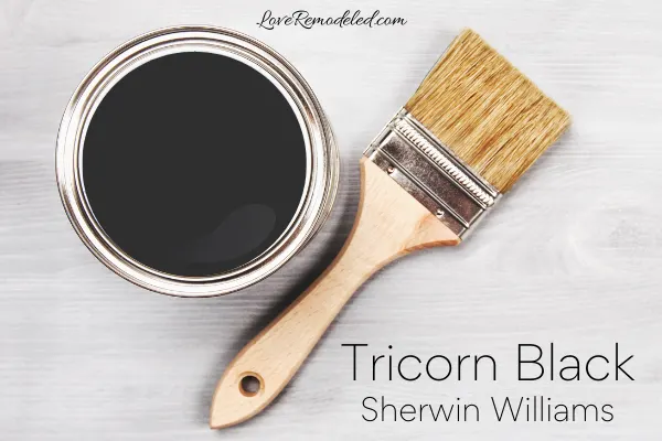 Tricorn Black Paint Color Sherwin Williams