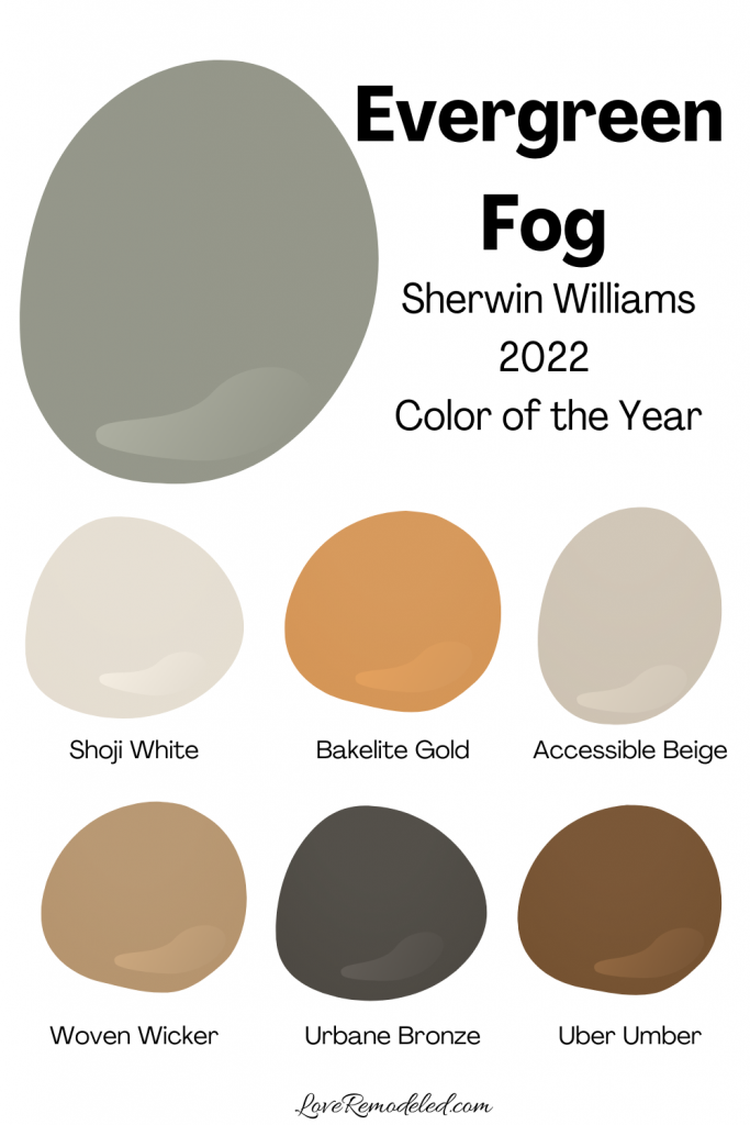 Evergreen Fog Sherwin Williams Paint Palette