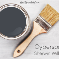 Cyberspace by Sherwin Williams