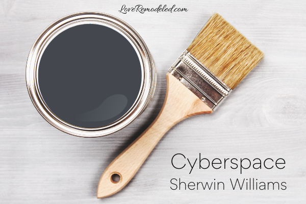 Cyberspace by Sherwin Williams