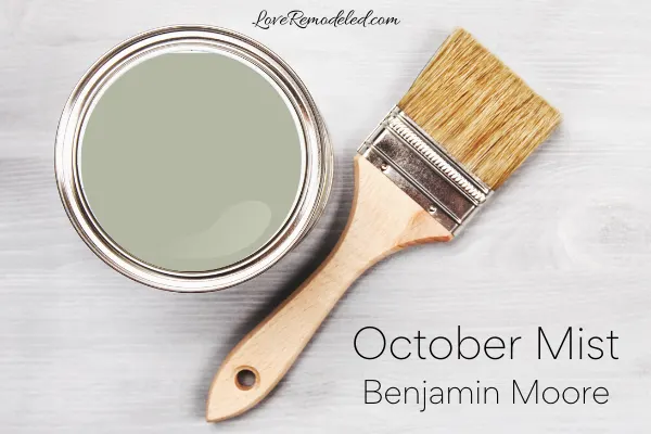 October Mist - a sage green paint color of the year 2022 Benjamin Moore