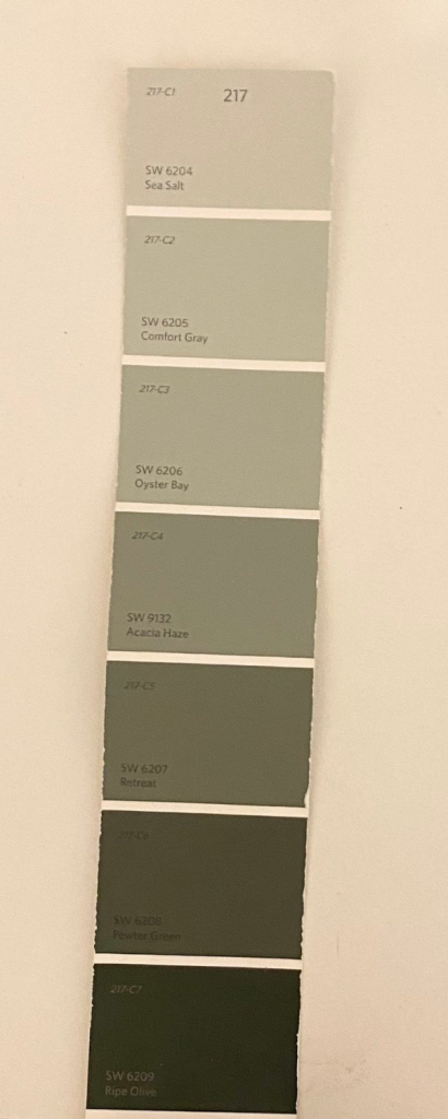 Sea Salt and Comfort Gray Color Strip