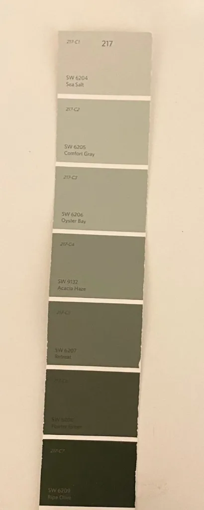 Sea Salt and Comfort Gray Color Strip