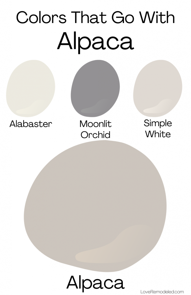 Sherwin Williams Alpaca Paint Color Love Remodeled