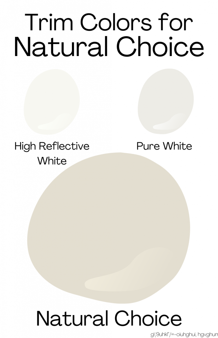 Natural Choice Paint Color, by Sherwin Williams Love Remodeled