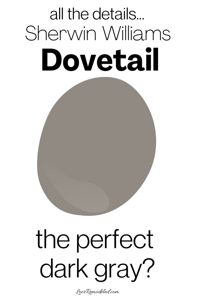 Dovetail Paint Color Review