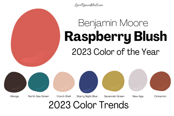 Raspberry Blush Benjamin Moore Color of the Year 2023