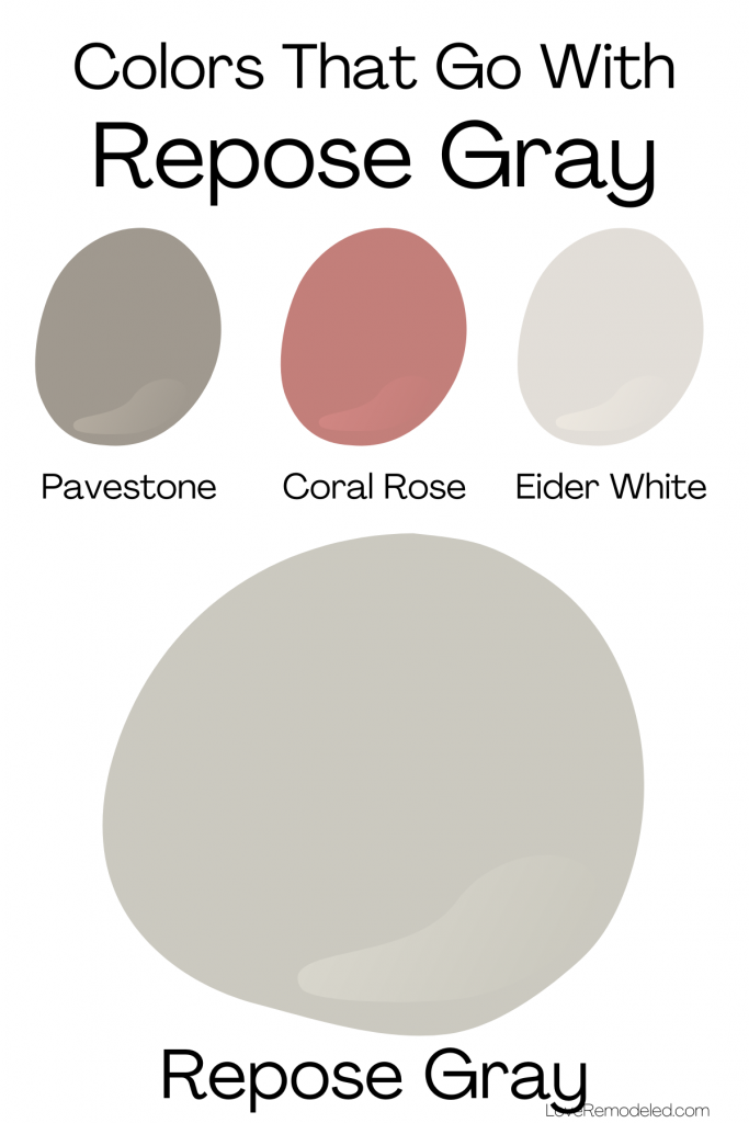 Repose Gray Color Palette