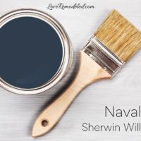 Naval by Sherwin Williams