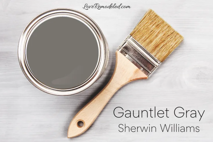 Gauntlet Gray SW