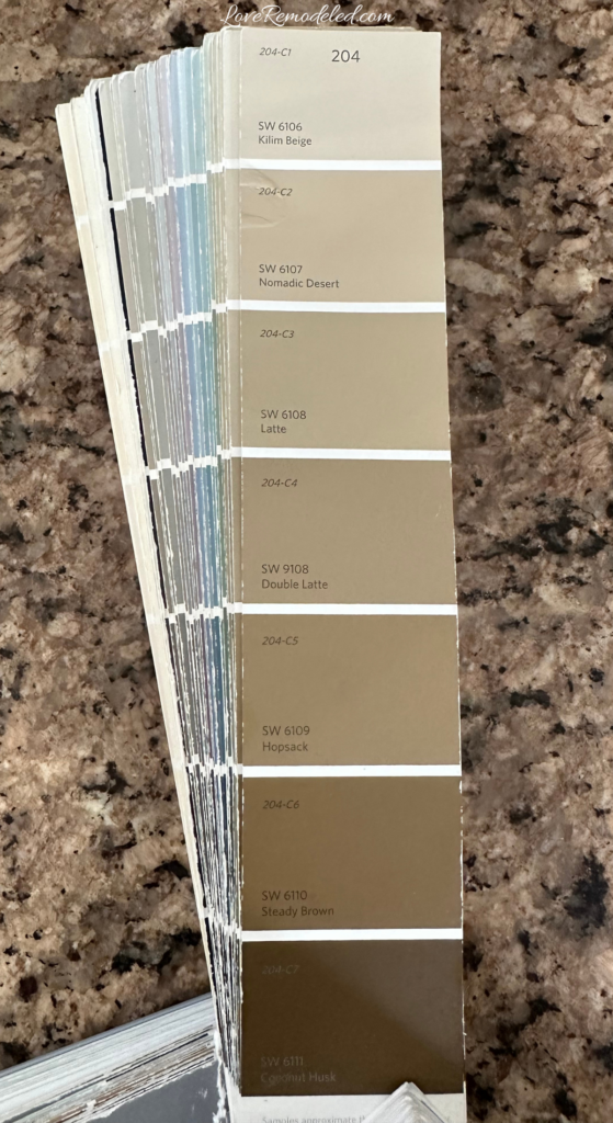 Kilim Beige Paint Color Strip