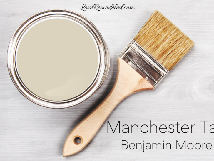 Manchester Tan by Benjamin Moore