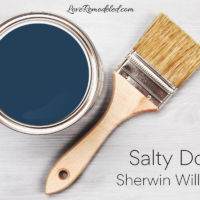Salty Dog by Sherwin Williams