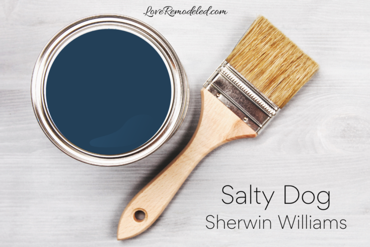 Salty Dog by Sherwin Williams