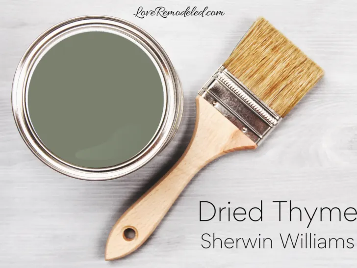 Dried Thyme by Sherwin Williams