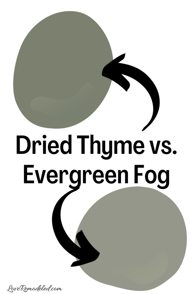 Sherwin Williams Dried Thyme vs Evergreen Fog