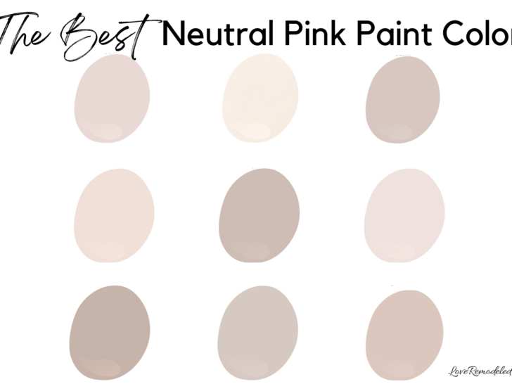 The Best Neutral Pink Paint Colors