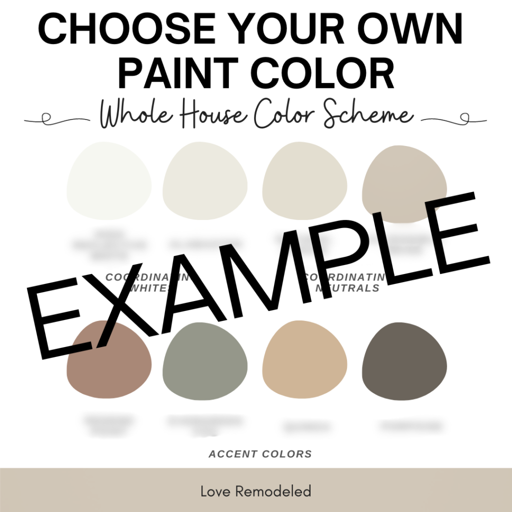 Custom Paint Color Palette 