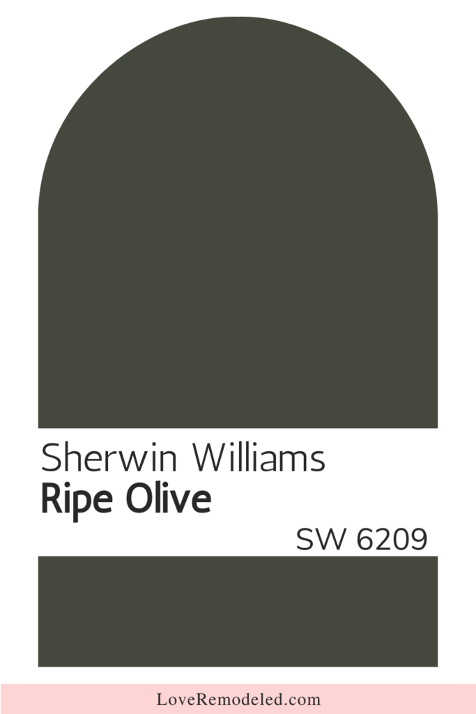 Sherwin Williams Green Paint Color - Ripe Olive