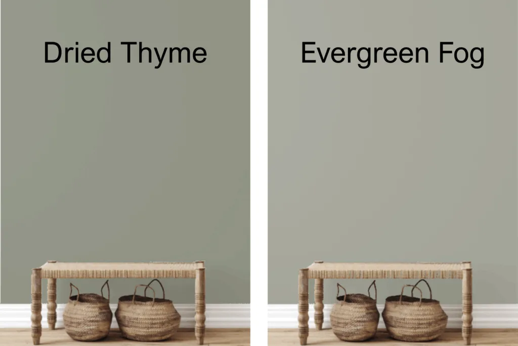 Sherwin Williams Dried Thyme vs. Evergreen Fog 