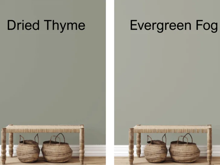 Dried Thyme vs. Evergreen Fog in rooms with benches