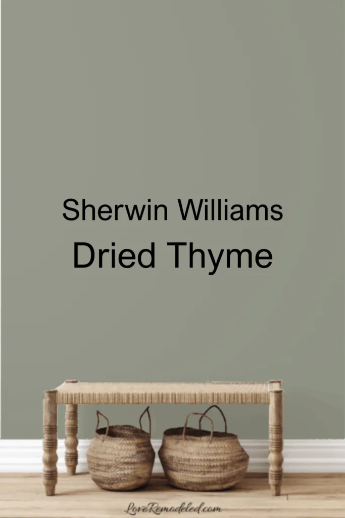 Sherwin Williams Dried Thyme on wall