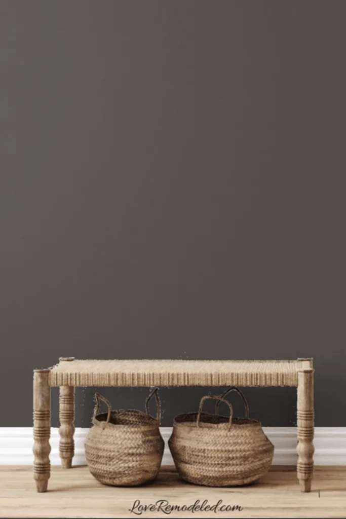 Benjamin Moore Silhouette on walls