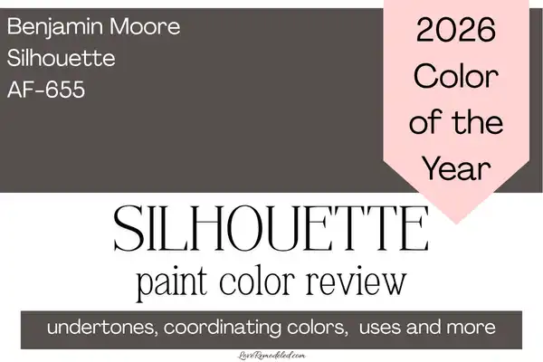Benjamin Moore Silhouette Paint Color Review promo image