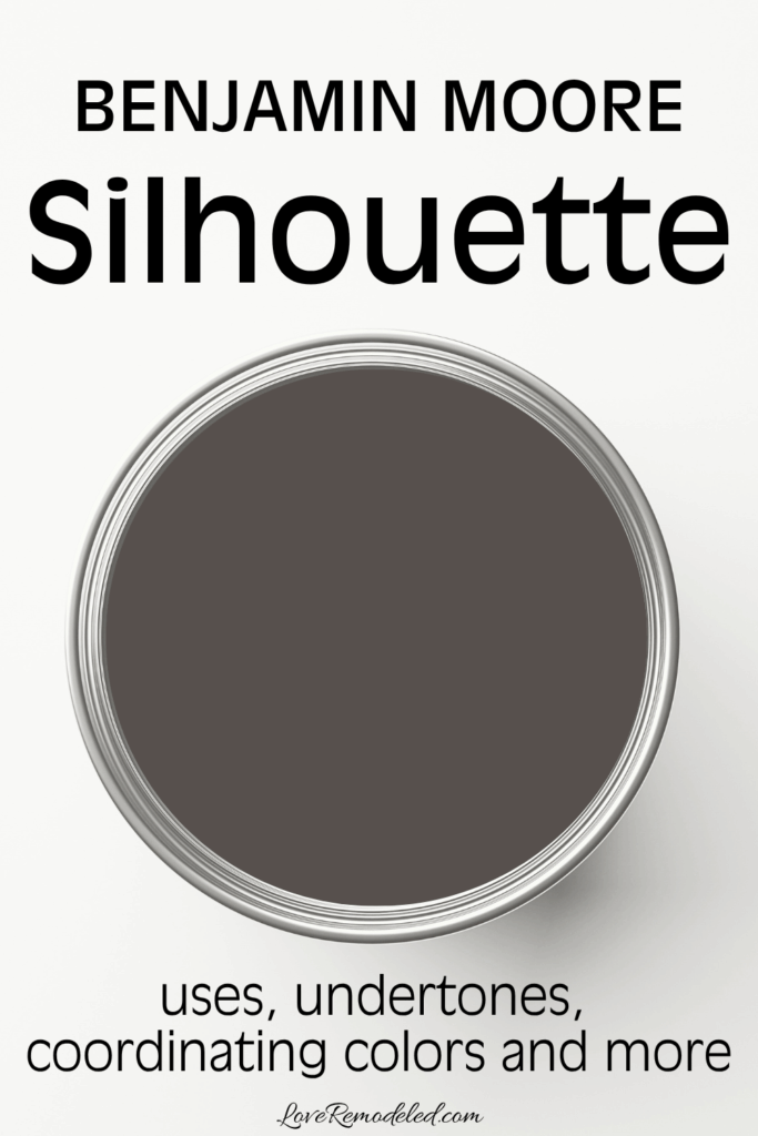 Silhouette Benjamin Moore Paint Can - 2026 Color of the Year