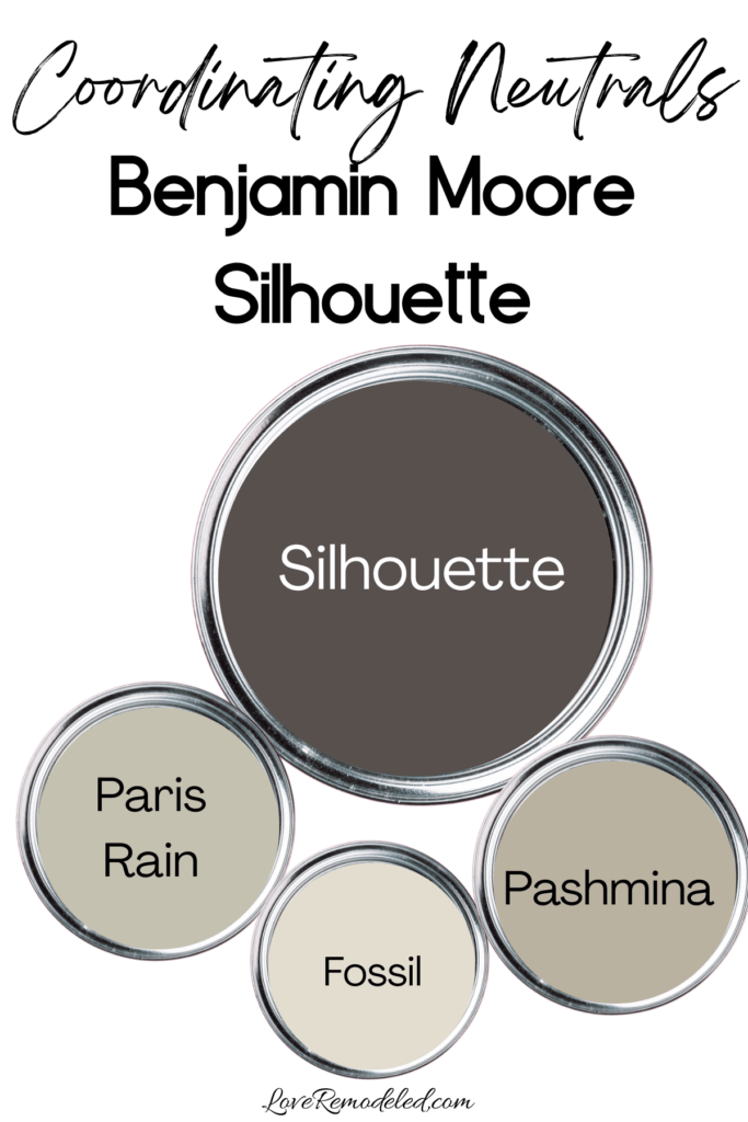 Coordinating Colors for Benjamin Moore Silhouette - Paris Rain, Fossil and Pashmina