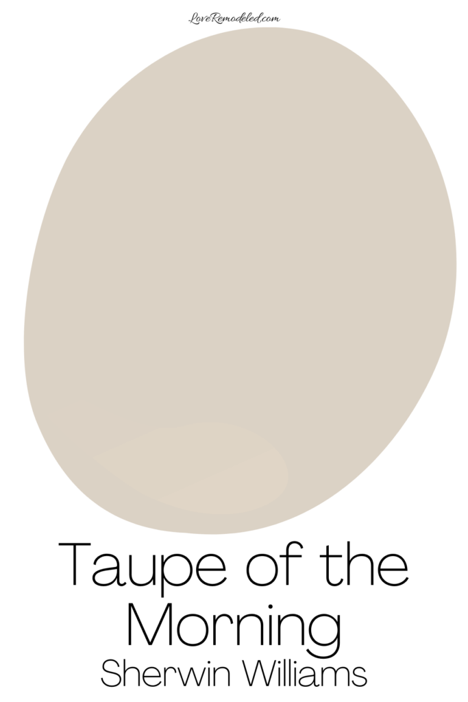 Taupe of the Morning Paint Spot