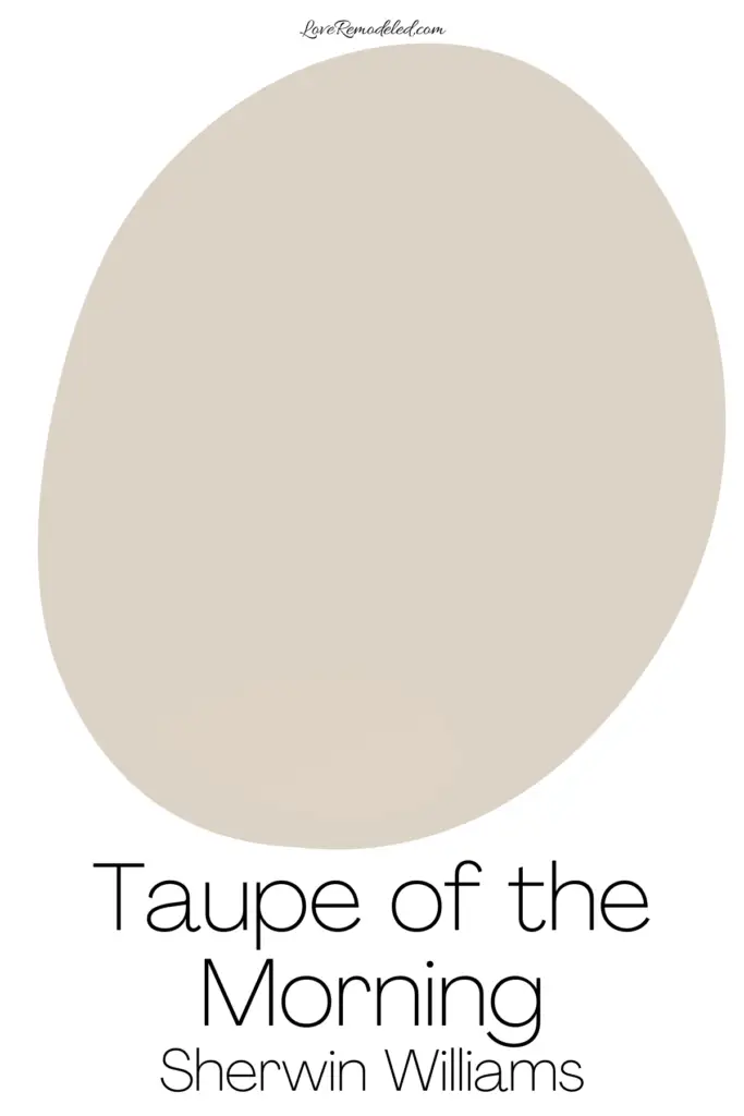 Taupe of the Morning Paint Spot