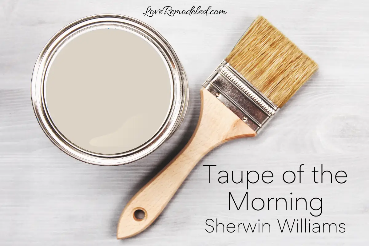 Taupe of the Morning by Sherwin Williams in a paint can with paint brush