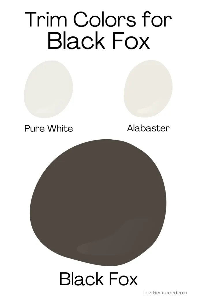 Trim Colors for Black Fox paint spots Pure White and Alabaster